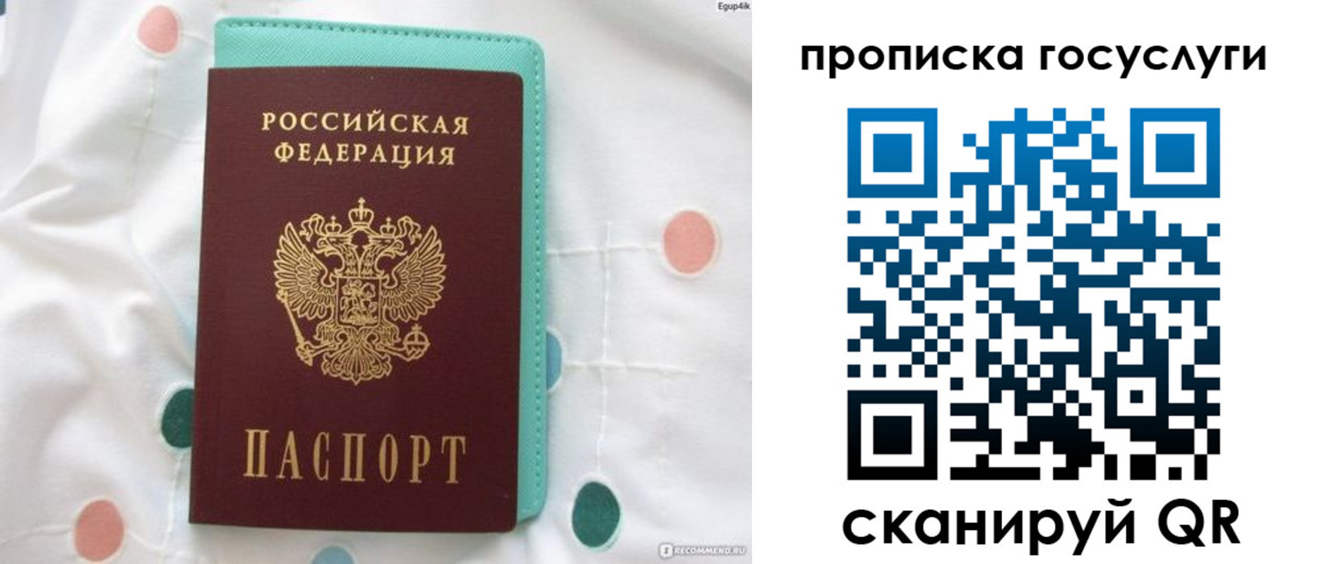 прописка поиск в Катав-Ивановске